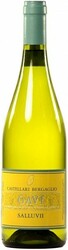 Вино Castellari Bergaglio. Gavi "Salluvii" DOCG