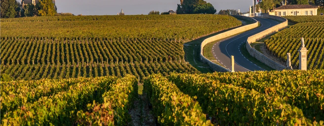 Регион Бордо